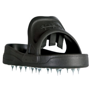 Pro Roller, Shoe In Pro
